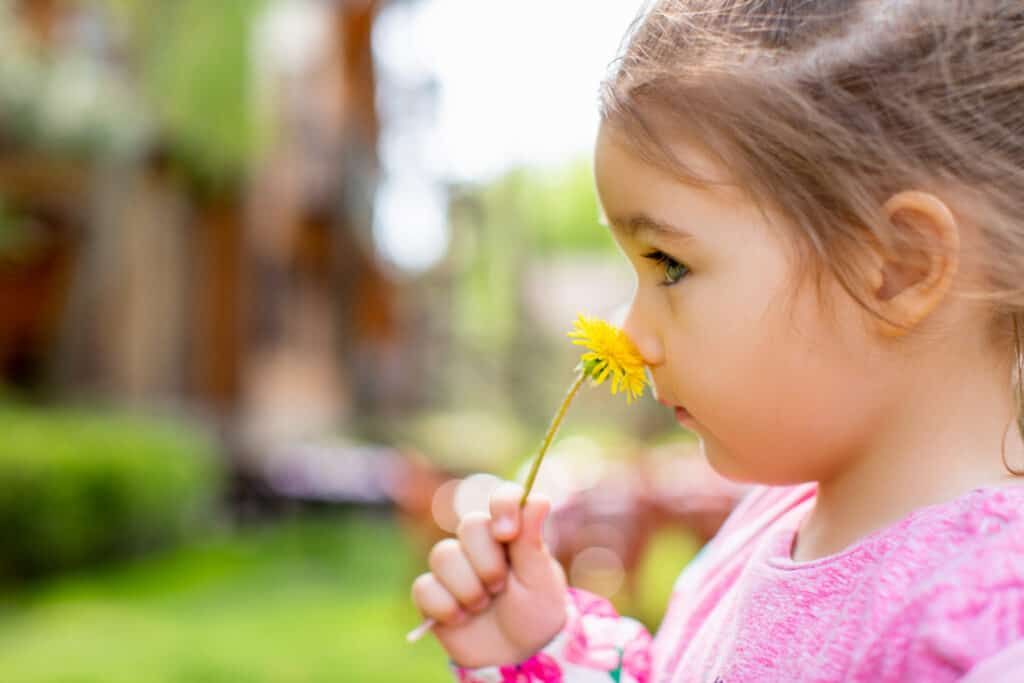 Child smelling a dandelion, representing resilience. 