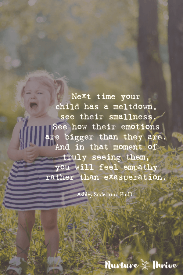 Five Steps to Calm and Centered Even When Your Child is Out of Control 13