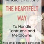 Handle Big Emotions With Love: The Heartfelt Solution to Tantrums and Meltdowns 4