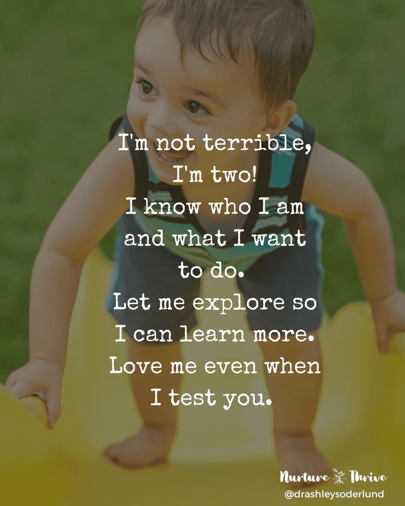 Little boy climbing up a slide with the quote, "I'm not terrible, I'm two!
I know who I am and what I want to do. 
Let me explore so I can learn more.
Love me even when I test you."
